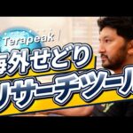 【海外せどり】リサーチツール「テラピーク」を使ってeBayの利益商品を探す方法