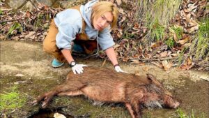 山に居る野生のイノシシを捕まえて焼いて食べてみたら…