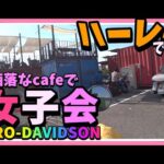 【モトブログ  】ハーレーで岩出のカフェにツーリング