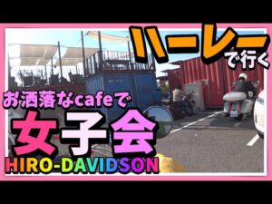 【モトブログ  】ハーレーで岩出のカフェにツーリング