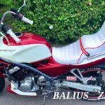 日本一ダサいバリオスを全力で紹介するモトブログ【限定バリオス】