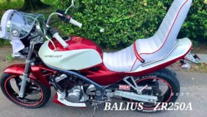 日本一ダサいバリオスを全力で紹介するモトブログ【限定バリオス】