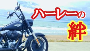 ハーレー乗りに会った時に思う事【絆】[ハーレーモトブログ]