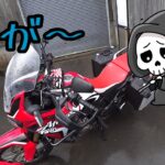 [モトブログ]雨のカルストからのひろめ市場🍺ガブ飲みツーリング