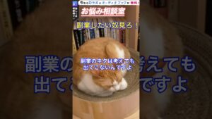 儲かる副業の見つけ方…実は〇〇しないとダメだった…