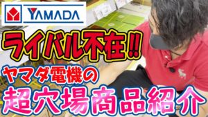 ほとんどの人が知らないヤマダ電機せどりのニッチな仕入れジャンルとは？