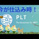 パレットトークン・今が仕込み時！？　（アフィリエイトも賢く使おう）