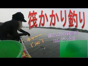 【筏かかり釣りブログ】釣れない理由はコレだった！？なぜ今まで気づかなかったのか？スランプの原因が明らかに！？