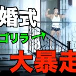 【大暴れ】ゴリラが乱入したら会場が○○になったww