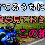 モトブログ #0246 ライダーなら一度はこの絶景を自分の目で見に行ってください【GSX-R1000R】