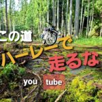 ＃2オフ車 で森林アタックFree Run Chopper ＃モトブログ