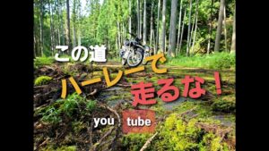 ＃2オフ車 で森林アタックFree Run Chopper ＃モトブログ