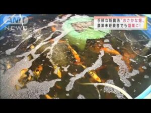 “次世代農業”魚にえさ→野菜が育つ　手軽で副業に(2021年9月5日)