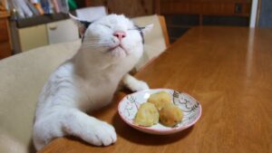 テーブルの上のじゃがいもの煮っころがし 210904