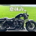 【ハーレー48】24歳一人暮らしハーレー乗りの夏休み【モトブログ】【声なし】