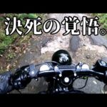 【モトブログ】ハーレーで林道に入ったらえらい目に遭った。【5千人記念プレゼント企画】