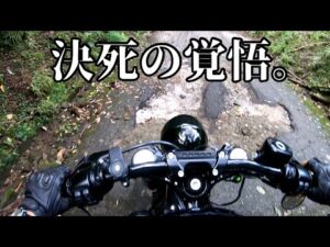 【モトブログ】ハーレーで林道に入ったらえらい目に遭った。【5千人記念プレゼント企画】