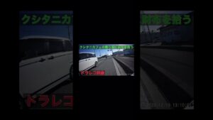 モトブログ バイク ツーリング中に財布を拾った話 Ninja1000 Ninja1000SX Z1000SX #Shorts