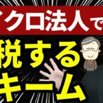 【必見！】副業するならマイクロ法人を作って節税！仕組みとシミュレーション